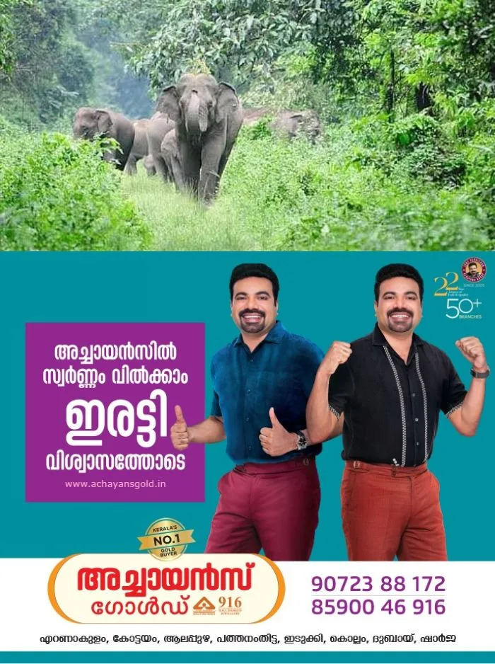 വന്യജീവികളുടെ സ്വാഭാവിക സഞ്ചാരം തടസ്സമില്ലാതെ ഉറപ്പാക്കണം; വിളനാശത്തിന്റെ പേരിൽ ആനകളുടെ സഞ്ചാരം തടയാനാകില്ല, വെടിവെപ്പ് ഉൾപ്പെടെയുള്ള ബലപ്രയോഗം ഒഴിവാക്കണമെന്നും സുപ്രീം കോടതി