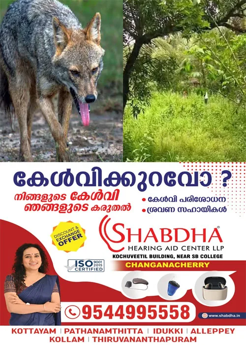 കാസർകോട് കുറുനരിയുടെ ആക്രമണം; ഗൃഹനാഥന് കുറുനരിയുടെ കടിയേറ്റു;കുറുനരിയെ  തെരഞ്ഞ് പിടിച്ച് കൊന്ന് നാട്ടുകാർ