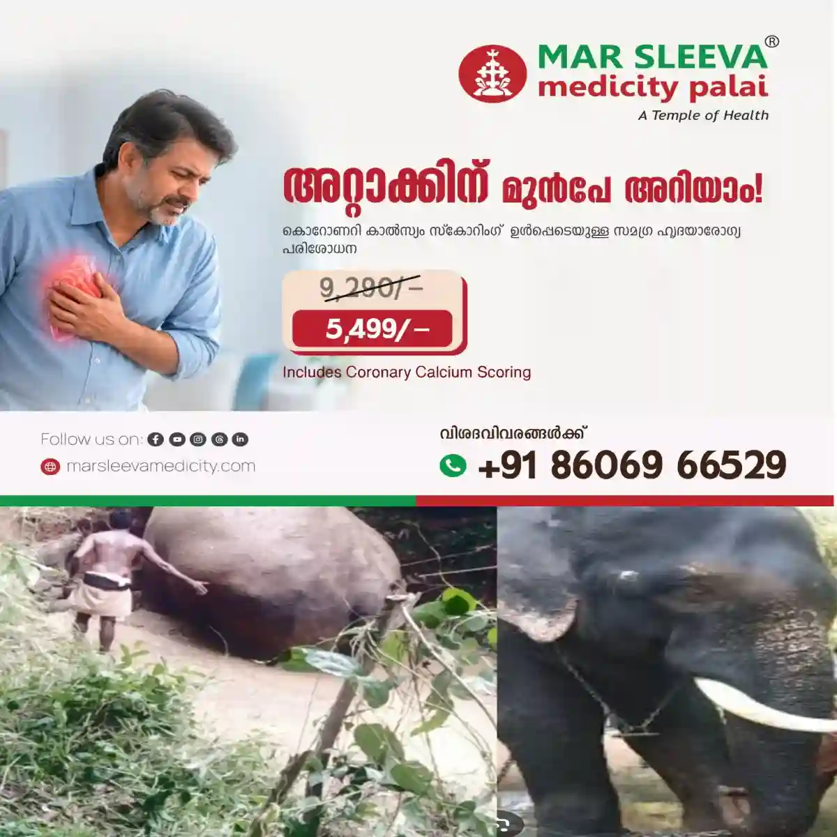 വെള്ളക്കെട്ടിൽ വീണ ആനയെ രക്ഷപ്പെടുത്തിയത്  5 മണിക്കൂറിന് ശേഷം: ജെസിബി ഉപയോഗിച്ച് വഴിവെട്ടിയാണ് ആനയെ കരയ്ക്കു കയറ്റിയത്: കുളിപ്പിക്കാൻ കൊണ്ടുപോകുന്നതിനിടെ വീണത് കോട്ടയത്തെ  വിശ്വനാഥൻ.