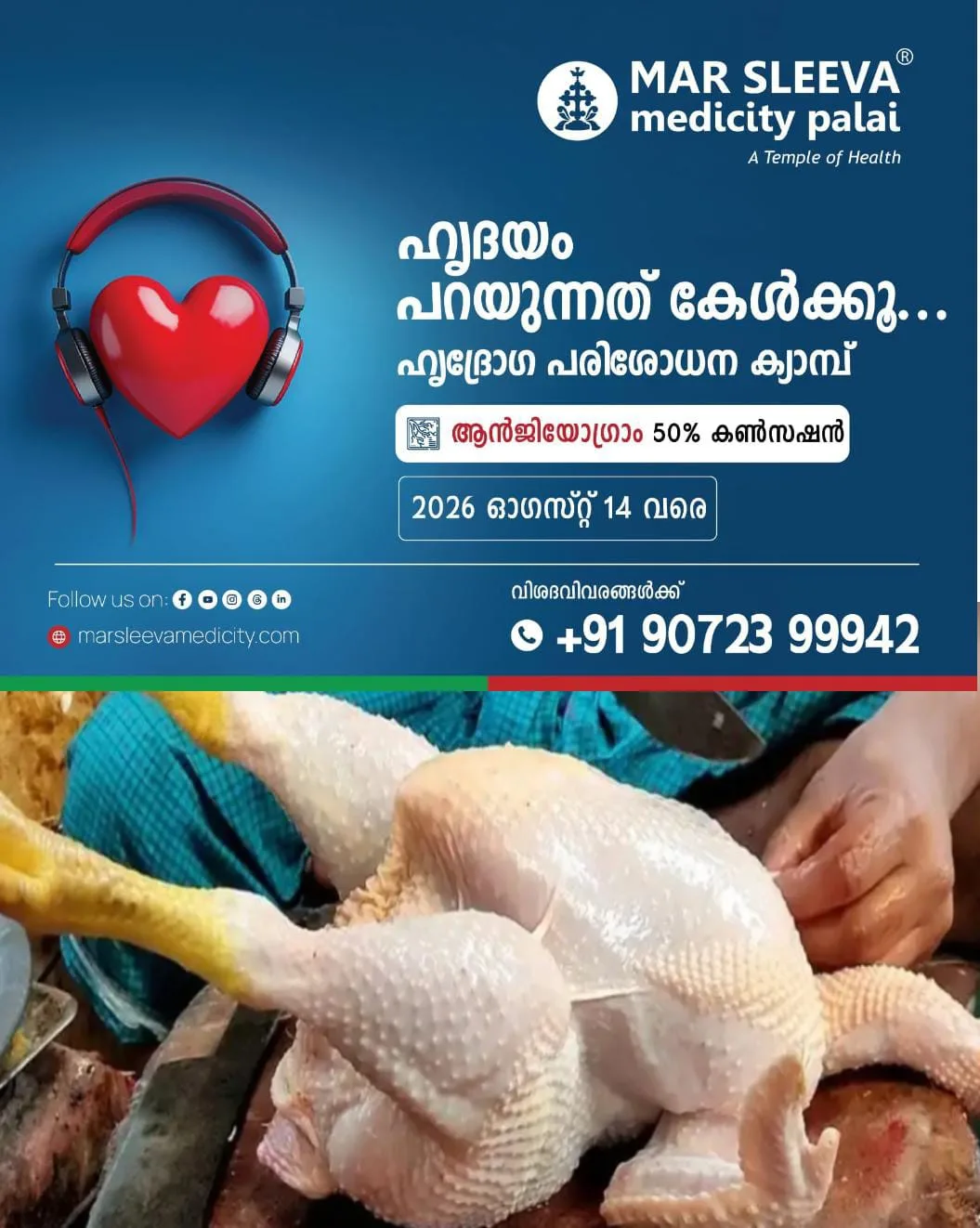 തമിഴ്നാട്ടിലെ കോഴിവ്യാപാരികള് നാളെമുതല് സമരത്തില്: കേരളം ചിക്കൻ കിട്ടാതെ വലയും