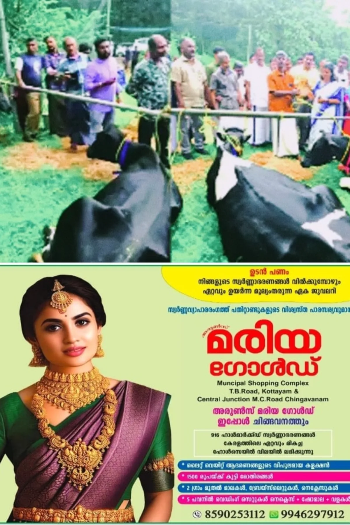 പാലാ തീക്കോയിയില്‍ ഉണ്ടായ വെള്ളപ്പൊക്കത്തില്‍ പശുക്കളെ നഷ്‌ടപ്പെട്ട സംഭവം; ക്ഷീരകര്‍ഷകന്‍ അനില്‍കുമാറിന് മന്ത്രി ബിന്ദു കൃഷ്‌ണ നാലു പശുക്കളെ കൈമാറി