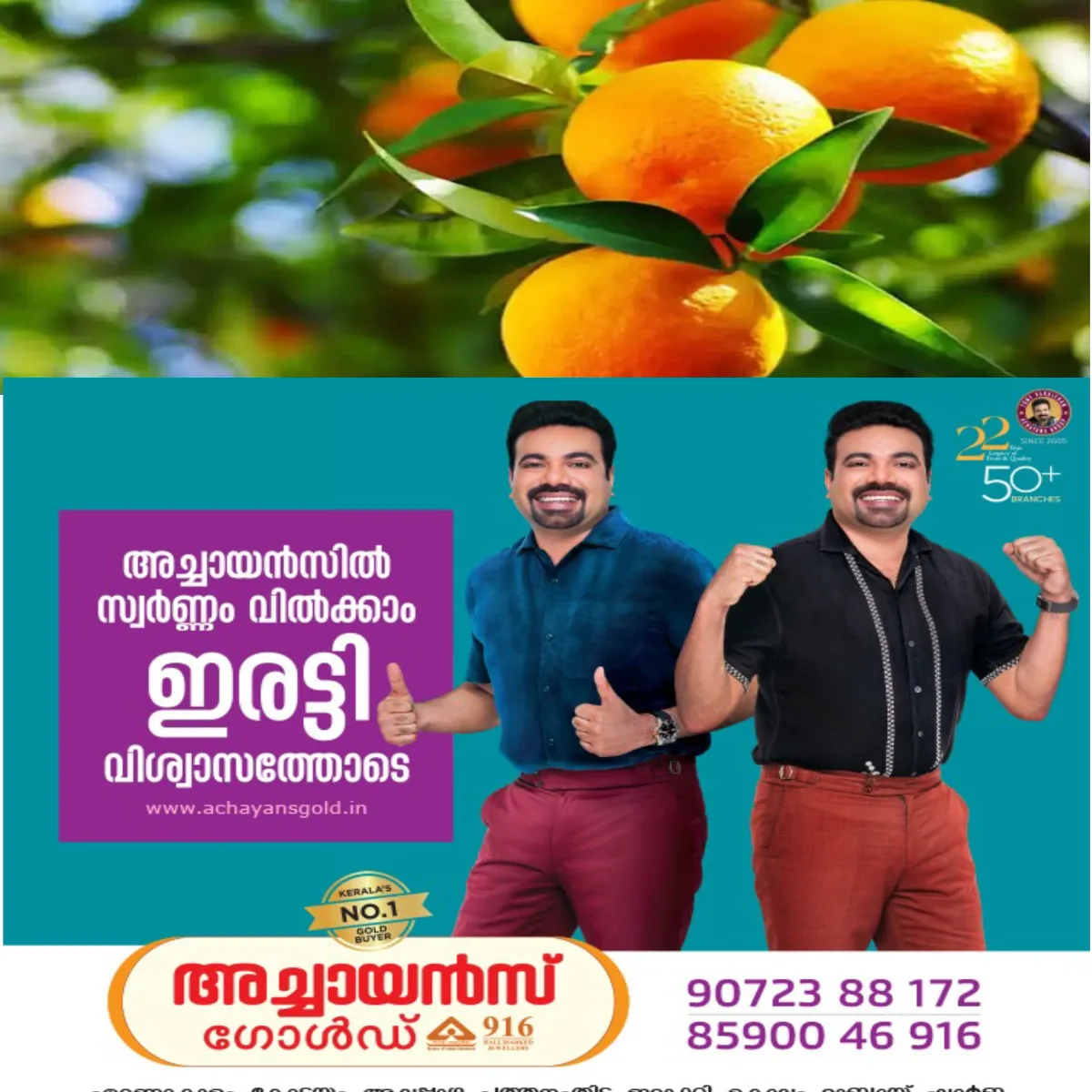മറ്റക്കരയിലെ ഓറഞ്ച് മരം കാണാൻ സന്ദർശകരുടെതിരക്ക്: 12 വര്ഷം കായ്ച്ചില്ല, വെട്ടിമാറ്റാൻ തീരുമാനിച്ചു: പിന്നാലെ മരത്തിലുണ്ടായത് ഒന്നും രണ്ടുമല്ല ആയിരത്തിലധികം ഓറഞ്ച്
