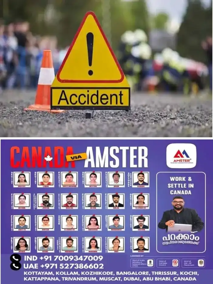 കുളമാവിൽ  ബസ് സ്റ്റാൻഡിൽ നിർത്തിയിട്ടിരുന്ന കാറിന് മുകളിലേക്ക് മരം കടപുഴകി വീണു; ഗതാഗതം സ്തംഭിച്ചു; ആളപായമില്ല