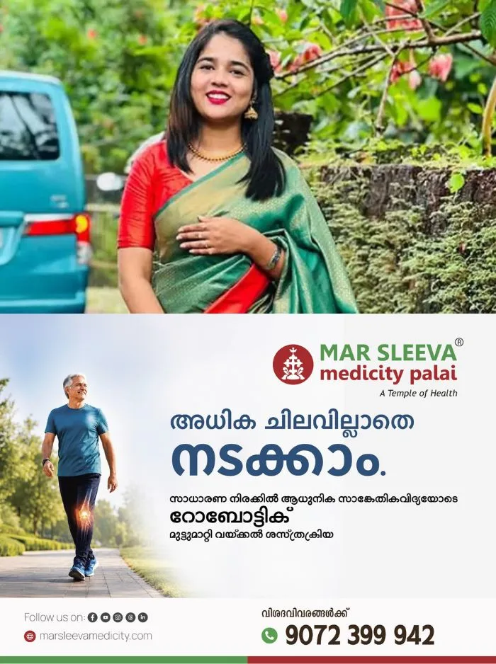 സോഷ്യൽ മീഡിയയിലൂടെ ട്രാൻസ്‌ജെൻഡറെ അധിക്ഷേപിച്ചു; യൂട്യൂബർ ഹെലൻ ഓഫ് സ്പാർട്ടയെ അറസ്റ്റ് ചെയ്ത് ജാമ്യത്തിൽ വിട്ടു