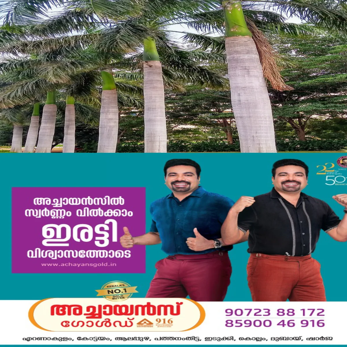 അലങ്കാരപനകളിൽ ചെല്ലികൾ വളരുന്നു: തെങ്ങുവളർത്തലിന് വൻ ഭീഷണി