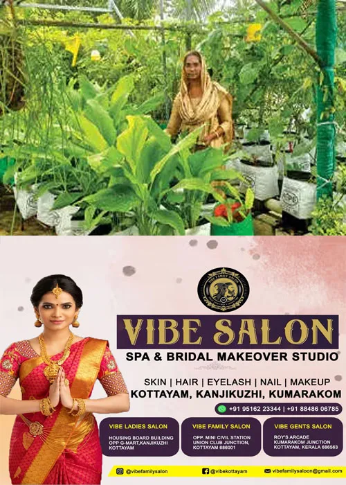 പ്രതിസന്ധികളെ അതിജീവിച്ച് അനിതാ കാസിം നേടിയെടുത്തു കാർഷിക പുരസ്കാരം; ആറരസെന്റ് പുരയിടത്തിലെ വീടിന്റെ ടെറസിലും വീടിന് ചുറ്റുമുള്ള ഇടുങ്ങിയ സ്ഥലങ്ങളും ഒരു പോലെ കൃഷിയിടമാക്കി തൃക്കൊടിത്താനം സ്വദേശി