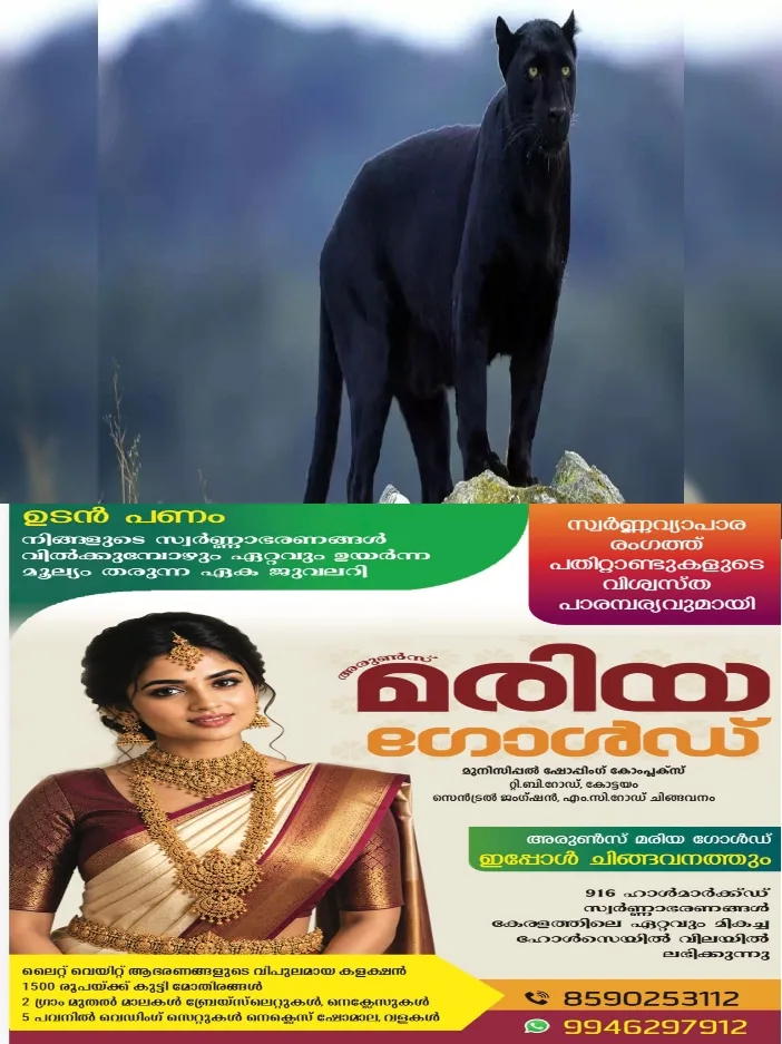 കലഞ്ഞൂരിൽ ജനവാസമേഖലയിൽ കരിമ്പുലി; ജനങ്ങൾ ആശങ്കയിൽ; നീരിക്ഷണ കാമറകൾ സ്ഥാപിച്ച് വനംവകുപ്പ്