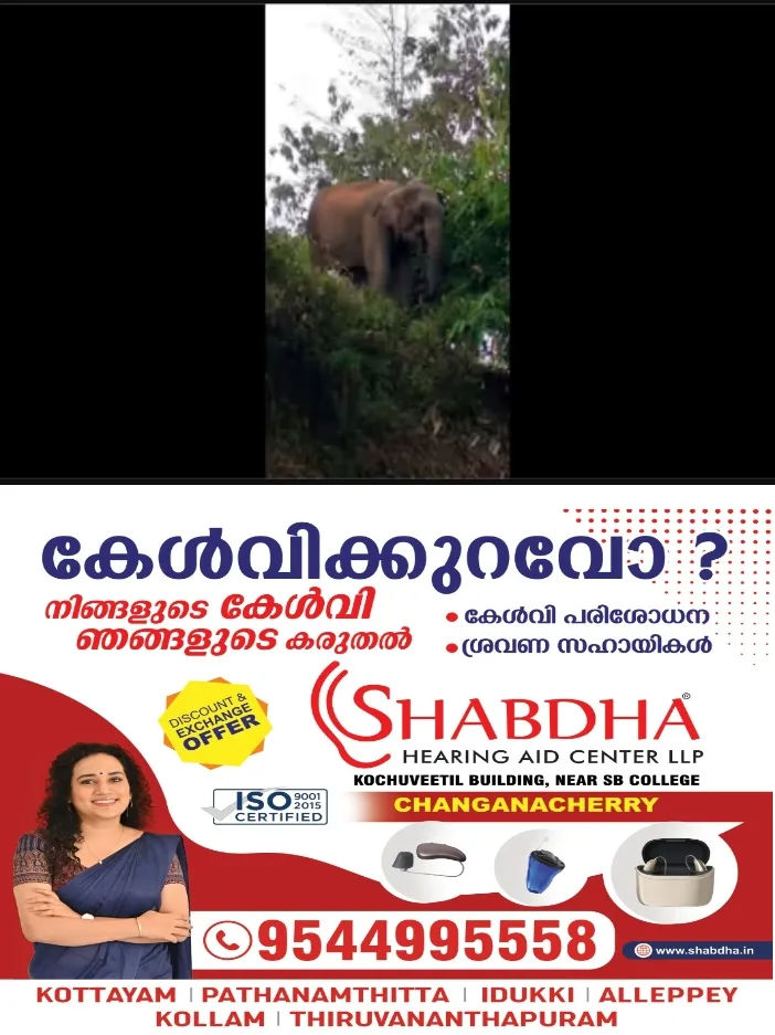 ആറളം ഫാം മേഖലയിലും പരിസരങ്ങളിലും ഭീതി പരത്തിയ മോഴയാനയെ മയക്കുവെടി വച്ച് പിടികൂടാൻ ചീഫ് വൈൽഡ് ലൈഫ് വാർഡൻ ഉത്തരവിട്ടു