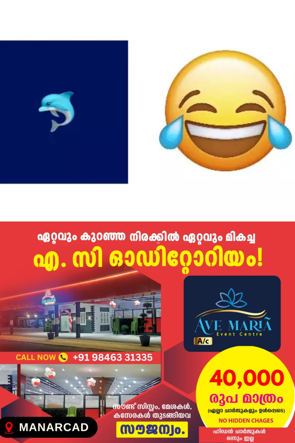 ചിരി ഇമോജിക്ക് പകരം ഇനി ഡോള്ഫിൻ!; തരംഗമായി ജെൻ സിയുടെ പുതിയ ട്രെൻഡ്