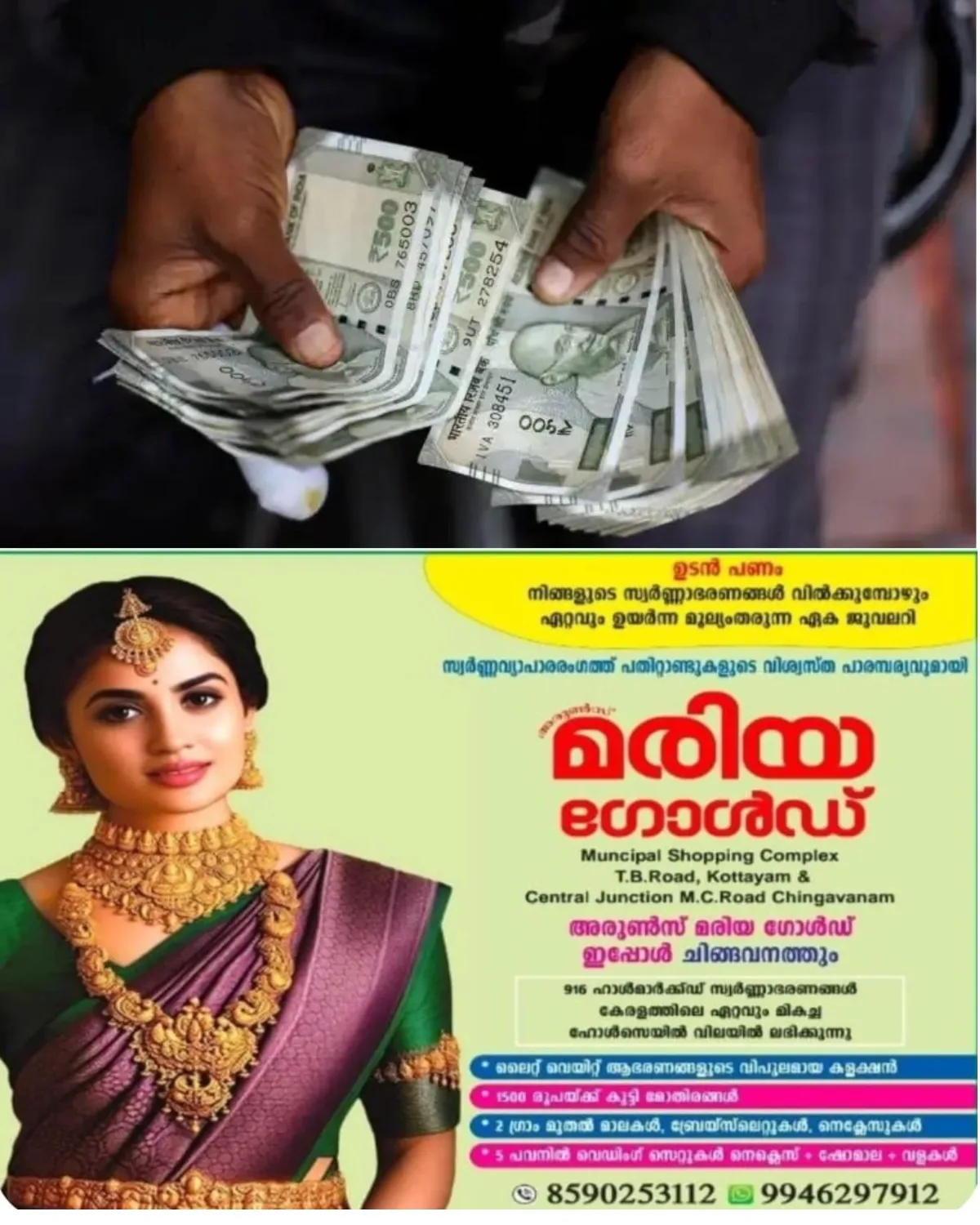മലയാളികൾക്ക് വൻ നേട്ടം; 40 രൂപയ്ക്ക് പകരം ഇനി തെങ്ങിൻതൈയ്ക്ക് 350 രൂപ, പുതിയ പദ്ധതിയുമായി നാളികേര ബോർഡ്
