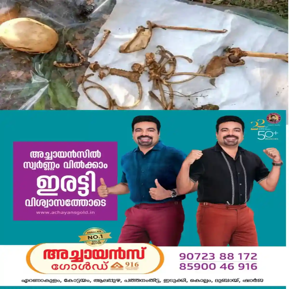റബ്ബർ തോട്ടത്തിൽ മനുഷ്യന്റെ അസ്ഥികൂടം ചിതറി കിടക്കുന്ന നിലയിൽ കണ്ടെത്തി: കാട് തെളിക്കാന് എത്തിയ തൊഴിലാളികളാണ് അസ്ഥികൂടം കണ്ടെത്തിയത്.