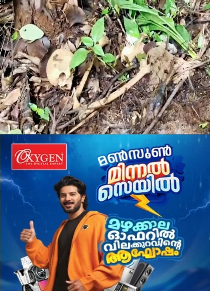 കോഴിക്കോട് പേരാമ്പ്രയില്‍ മനുഷ്യ അസ്ഥികൂടം കണ്ടെത്തി; ഏകദേശം ഒരു മാസത്തെ പഴക്കം തോന്നിക്കുന്ന നിലയിലാണ്
