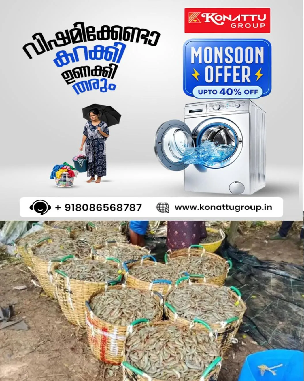 മത്തിയും പൂവാലന് ചെമ്മീനും കിട്ടിത്തുടങ്ങിയതോടെ പ്രതീക്ഷയില് പരമ്പരാഗത മത്സ്യത്തൊഴിലാളികള്; അമ്പലപ്പുഴയിൽ വള്ളക്കാർ അഹ്ലാദത്തിൽ