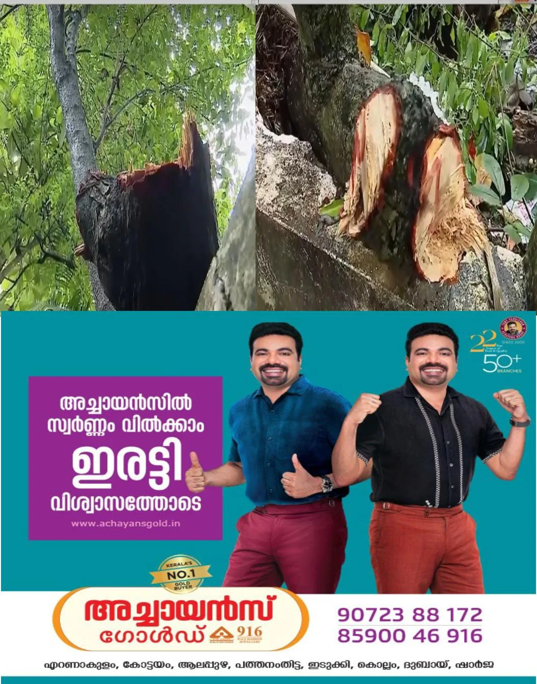 ദേവസ്വം ബോർഡ് ആസ്ഥാനത്ത് 50 വർഷം പഴക്കമുള്ള ചന്ദനമരം മുറിച്ചുമാറ്റിയ സംഭവത്തിന് പിന്നിൽ ആസൂത്രിത നീക്കം: ഉദ്യോഗസ്ഥരുടെ ഒത്താശയും സംശയിക്കുന്നു.