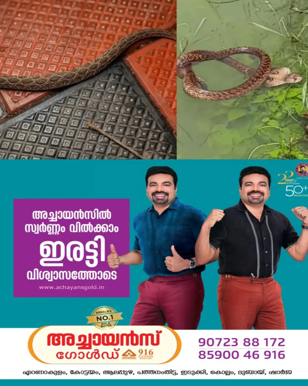  വെള്ളമിറങ്ങിയപ്പോൾ പുതിയ പ്രതിസന്ധി പാമ്പ് ശല്യം: വീട് ശുചികരണം ജാഗ്രതയോടെ വേണം: ഈ കാര്യങ്ങൾ പ്രത്യേകം ശ്രദ്ധിക്കുക.