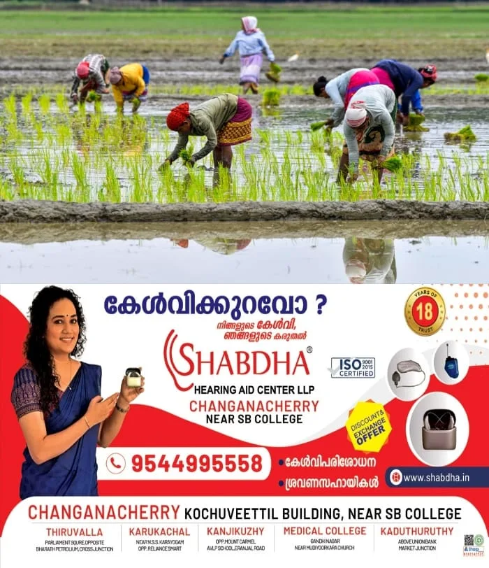 നെല്‍ കര്‍ഷകര്‍ക്ക് ആശ്വാസം; വിള ഇൻഷ്വറൻസ് തീയതി ജൂലൈ 31 വരെ നീട്ടി