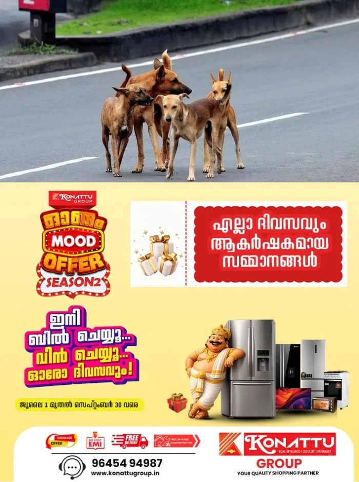 തലങ്ങും വിലങ്ങും പായുന്ന തെരുവുനായ്ക്കൾ; ഭീതിയൊഴിയാതെ കോട്ടയം മെഡിക്കല് കോളേജ് പരിസരം