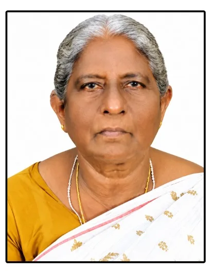 അടിച്ചിറ കണ്ണി വീട്ടിൽ എൽസമ്മ മാത്യു (85)നിര്യാതയായി