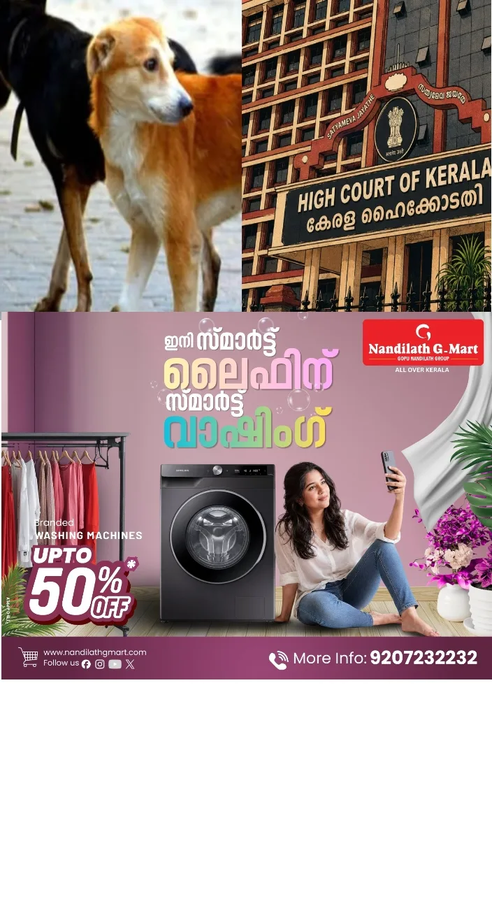 തെരുവ് നായ ആക്രമണം; പരാതി ലഭിച്ചില്ലെങ്കിലും നഷ്ടപരിഹാരം നൽകാൻ പഞ്ചായത്തിന് ബാധ്യതയുണ്ടെെന്ന് ഹൈക്കോടതി