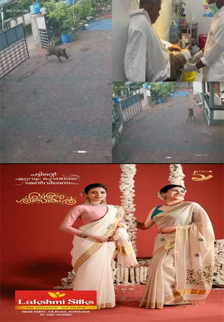 വീട്ടിലും രക്ഷയില്ല;വീട്ടുവരാന്തയിൽ പത്രം വായിച്ചിരിക്കെ കാട്ടുപന്നി ആക്രമണം; താമരശ്ശേരിയിൽ മധ്യവയസകന് പരിക്ക്