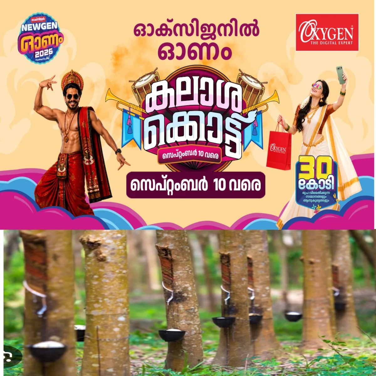 കമ്പനി ഡീലർമാർ റബ്ബർവിപണി തകർക്കുന്നു : വില ഉയരാൻ അനുവദിക്കുന്നില്ലന്ന് പരാതി.
