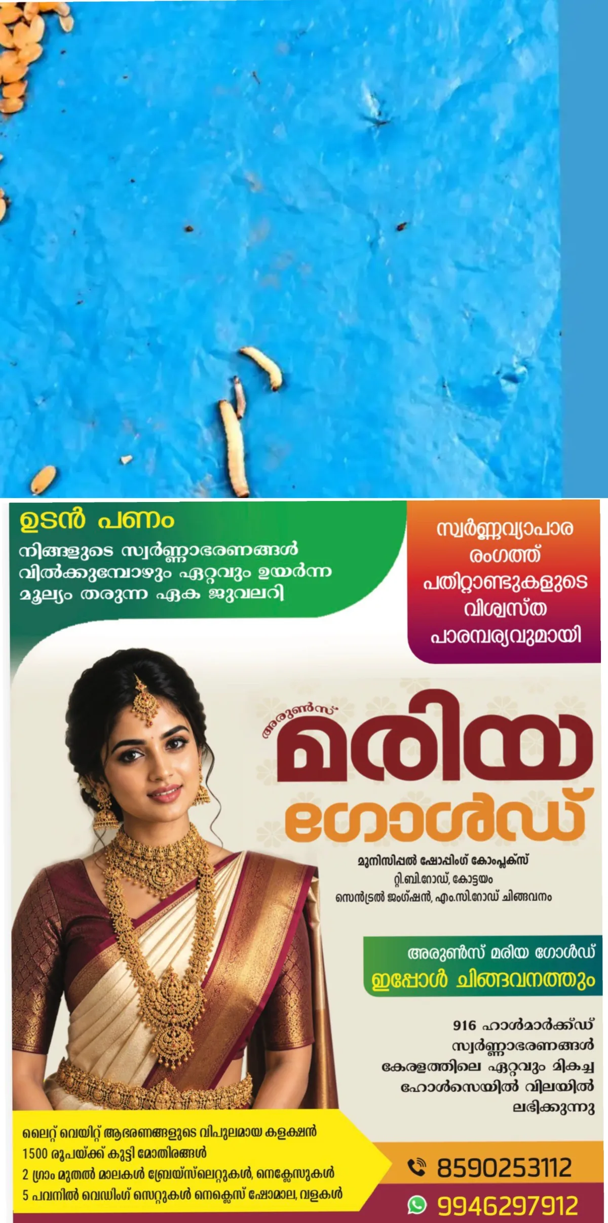 റേഷൻ കടയില് അരി ഇറക്കുന്നതിനിടെ ചാക്കുകളില് പുഴു; മൂവാറ്റുപുഴയിലെ റേഷൻ കടയിലേക്ക് എത്തിച്ച അരി ലോഡിലാണ് പുഴുക്കളുടെ സാന്നിധ്യം കണ്ടെത്തിയത്