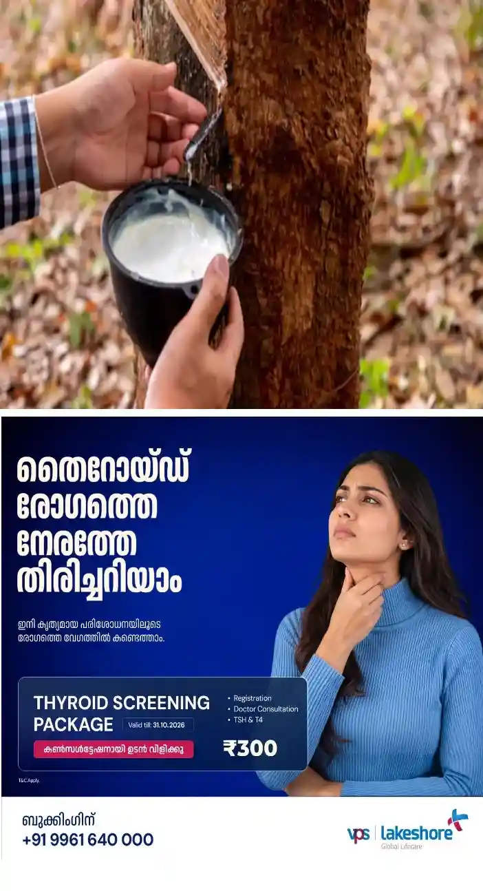 കോട്ടയത്ത് ലാറ്റക്സ് വില മുന്നൂറിലെത്തി;ഷീറ്റ് വിലയു൦ വർധിക്കാൻ സാധ്യത