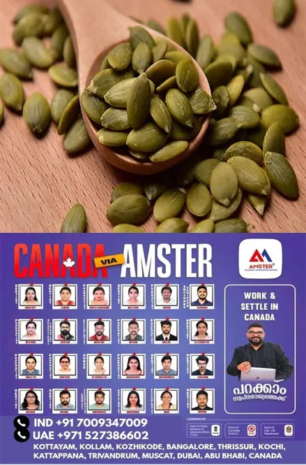 മത്തങ്ങക്കുരു നിസ്സാരക്കാരനല്ല;ഒരു പിടി മത്തൻക്കുരു ദിവസവും കഴിച്ചാൽ ഹൃദയാരോഗ്യം മുതൽ നല്ല ഉറക്കം വരെ കിട്ടും 