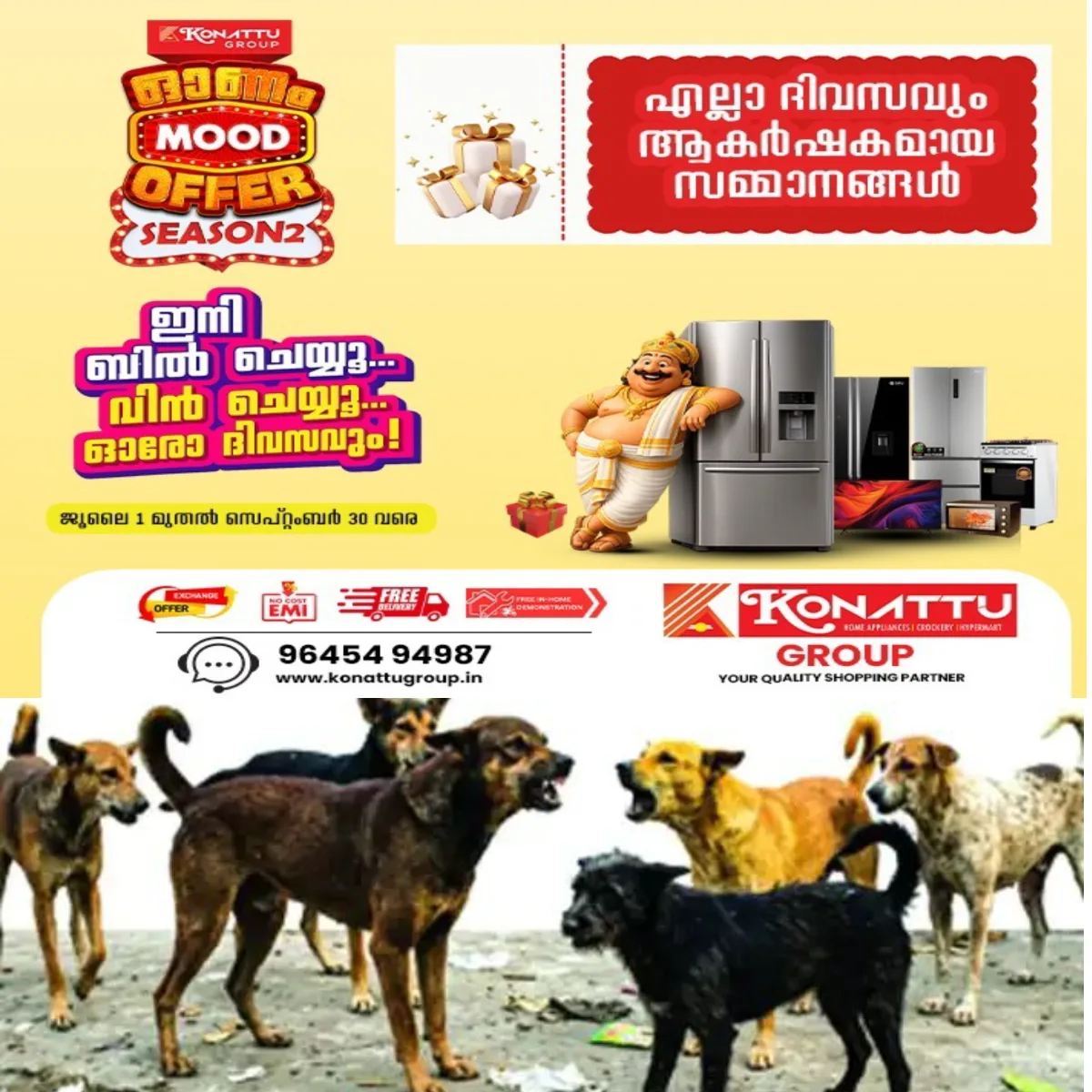 കോട്ടയത്ത് തെരുവ് നായ്ക്കളുടെ ആക്രമണം വർധിച്ചു: നിയന്ത്രിക്കാനുള്ള പദ്ധതികൾ നടപ്പാകുന്നില്ല