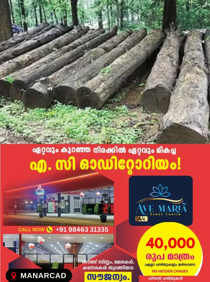 കുറ്റപത്രം ദുർബലം, കേസ് അട്ടിമറിക്കപ്പെടാനാണ് സാധ്യത; മുട്ടിൽ മരംമുറി കേസിൽ വനംവകുപ്പിനെതിരെ ഗുരുതര ആരോപണവുമായി മുൻ പബ്ലിക് പ്രോസിക്യൂട്ടർ