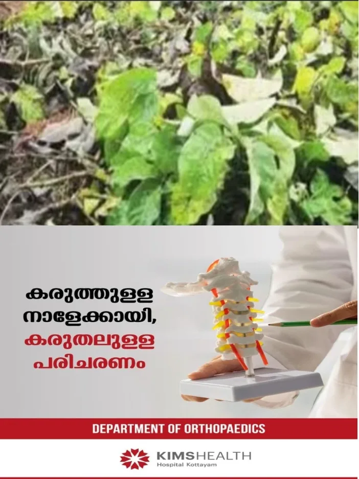 ജലസേചന വകുപ്പിന്റെ ഉടമസ്ഥതയിലുള്ള സ്ഥലത്തെ 15-ഓളം തേക്ക് മരങ്ങള്‍ അജ്ഞാതര്‍ മുറിച്ചു കടത്തി;മുറിച്ചുകടത്തിയത് 20 വർഷം പഴക്കമുള്ള മരങ്ങൾ; സംഭവം കോഴിക്കോട് കുറ്റ്യാടിയിൽ;പൊലീസ് കേസെടുത്ത് അന്വേഷണം ആരംഭിച്ചു