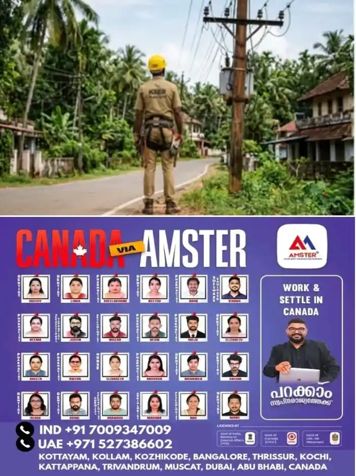 കറന്റ് പോയി; പിന്നാലെ കച്ചവടം മുടങ്ങി;കൊല്ലത്ത് കെഎസ്ഇബി ഉദ്യോഗസ്ഥർക്ക് നേരെ മർദ്ദനവുമായി വ്യാപാരി