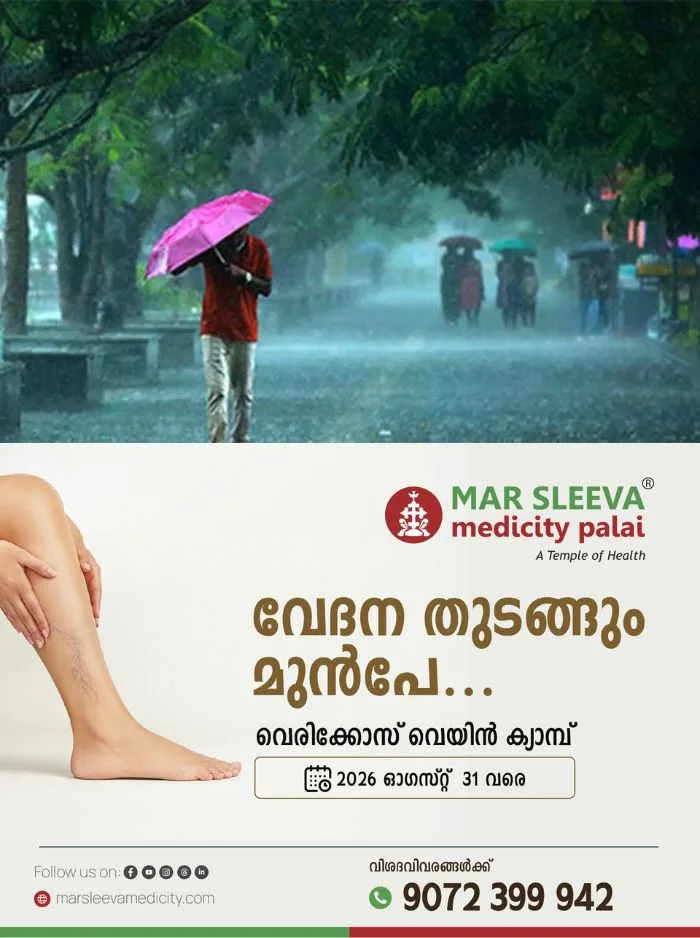 കേരളത്തിൽ വീണ്ടും ശക്തമായ മഴയ്ക്ക് സാധ്യതയെന്ന് കാലാവസ്ഥാ വകുപ്പ്; കോട്ടയം ഉൾപ്പടെ 5 ജില്ലകളിൽ ഇന്ന് യെല്ലോ അലേർട്ട്