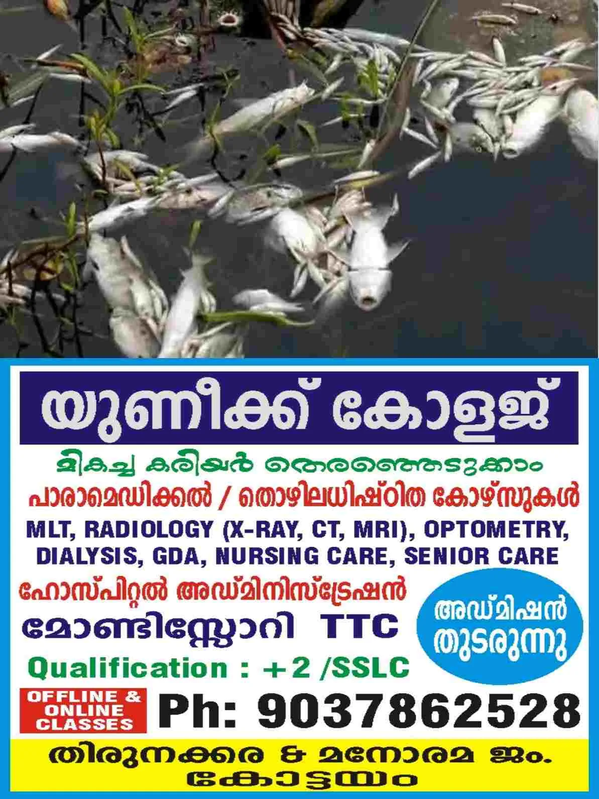 രാമനാട്ടുകരയിൽ പുഴയിൽ വിഷം കലക്കി മീൻപിടുത്തം; മീനുകൾ കൂട്ടത്തോടെ ചത്തുപൊങ്ങി, പ്രതികൾക്കായി പൊലീസ് അന്വേഷണം ഊർജിതം
