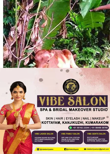 ഉദയനാപുരത്ത് പേവിഷബാധയേറ്റ നായയുടെ കടിയേറ്റ് രണ്ട് പശുക്കൾ ചത്തു;നിരവധി വളർത്തു മൃഗങ്ങൾക്ക് കടിയേറ്റു; തെരുവുനായ ഇപ്പോഴും കാണാമറയത്ത്;ജനം ആശങ്കയിൽ
