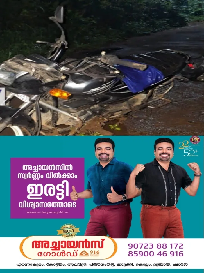 മുണ്ടക്കയം പുഞ്ചവയൽ–പാക്കാനം–ഇഞ്ചക്കുഴി റോഡിൽ ബൈക്ക് യാത്രക്കാരന് നേരെ കാട്ടുപോത്തിന്റെ ആക്രമണം