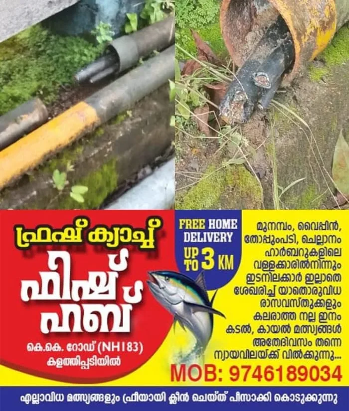 തുരുത്തിപള്ളി പാലത്തിന് സമീപമുള്ള ബി.എസ്.എൻ.എൽ കേബിളുകൾ മോഷണം പോയ സംഭവം; മോഷ്ടാക്കളെ എത്രയും വേഗം കണ്ട് പിടിക്കണമെന്ന് ബിജെപി