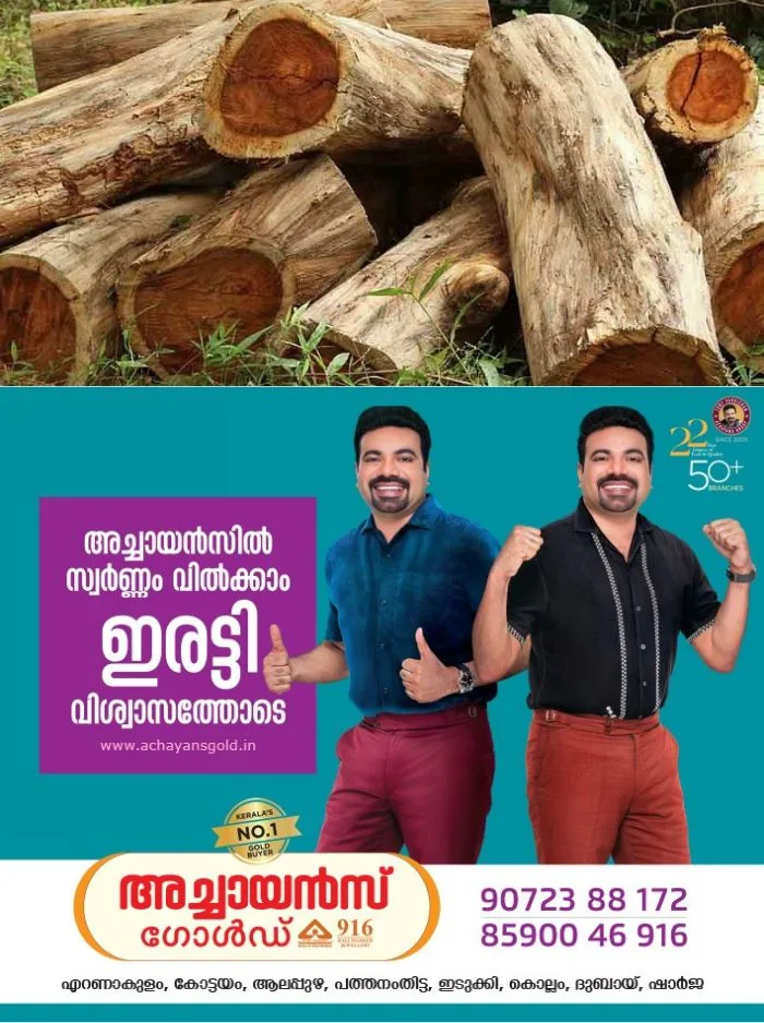 ആവശ്യമായ രേഖകൾ സമർപ്പിച്ചില്ല; മുട്ടിൽ മരംമുറി കേസിൽ വനംവകുപ്പിന്റെ കുറ്റപത്രം മടക്കി ബത്തേരി കോടതി