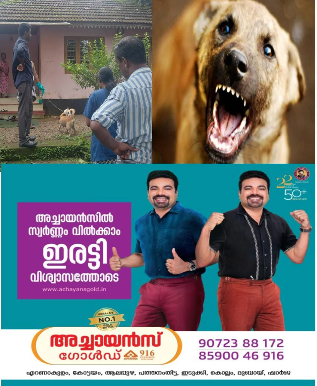 വൈക്കം വെള്ളൂരിൽ നിരവധി ആളുകളെ ആക്രമിച്ച തെരുവ് നായയ്ക്ക് പേവിഷബാധ സ്ഥിരീകരിച്ചു: വളർത്തുമൃഗങ്ങളെയും നായ കടിച്ചിരുന്നു: ജനം ആശങ്കയിൽ: വളർത്തുമൃഗങ്ങൾക്ക് പ്രതിരോധ കുത്തിവയ്പ് തുടങ്ങി.