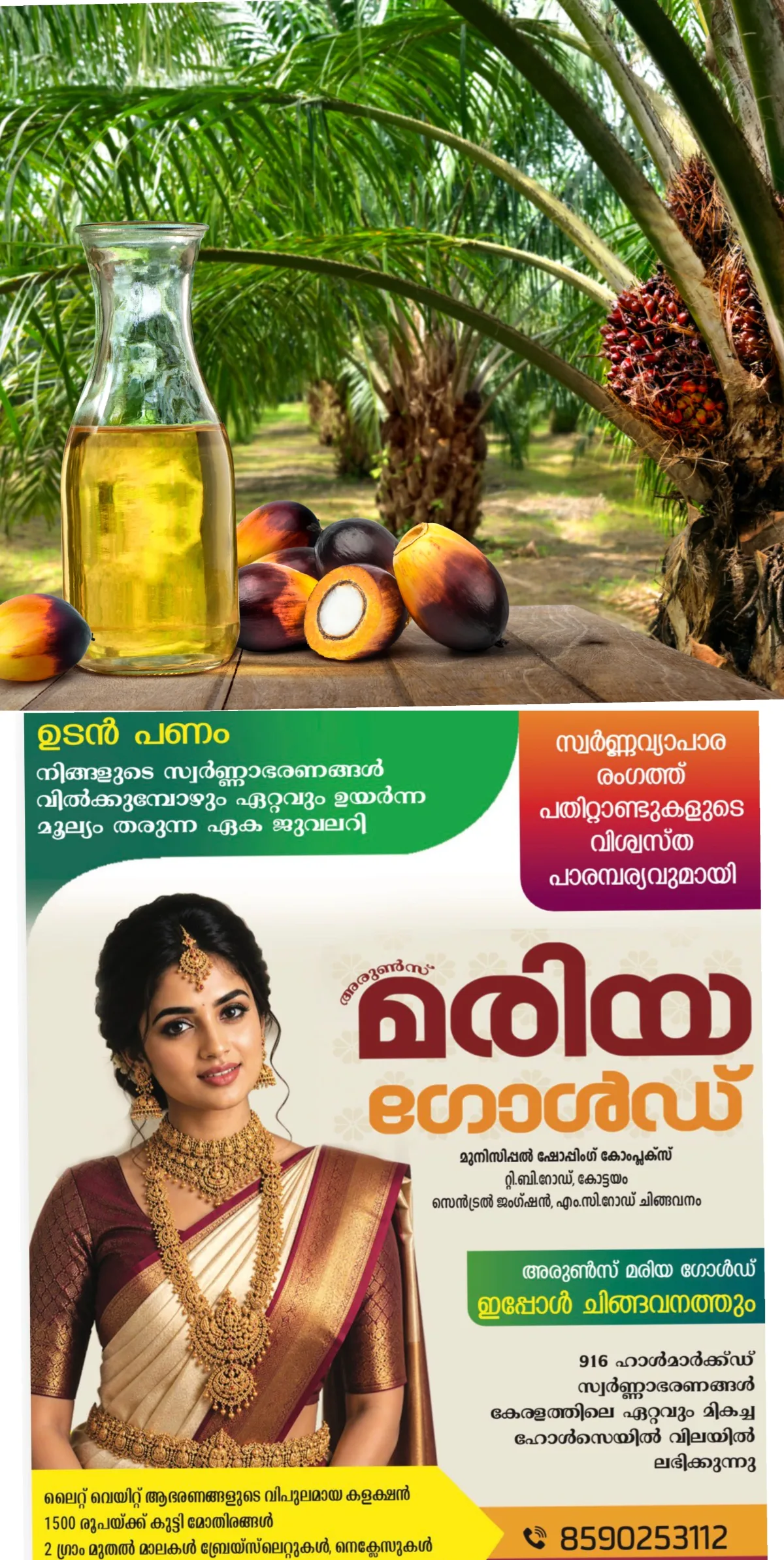 പാമോയില്‍ ഉപയോഗിച്ചാല്‍ കൊളസ്ട്രോള്‍ കൂടുമോ? വിദഗ്ധര്‍ പറയുന്നത് നോക്കാം 