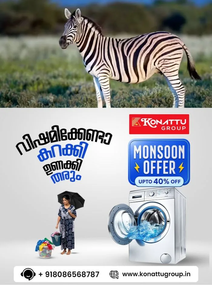 സന്ദര്‍ശകര്‍ക്ക് കാഴ്ച്ചയുടെ വിരുന്നൊരുക്കാന്‍ തിരുവനന്തപുരം മൃഗശാലയിലേക്ക് സീബ്രകള്‍ എത്തുന്നു; സീബ്രകൾ എത്തുന്നത് ഒൻപത് വർഷങ്ങൾക്ക് ശേഷം 