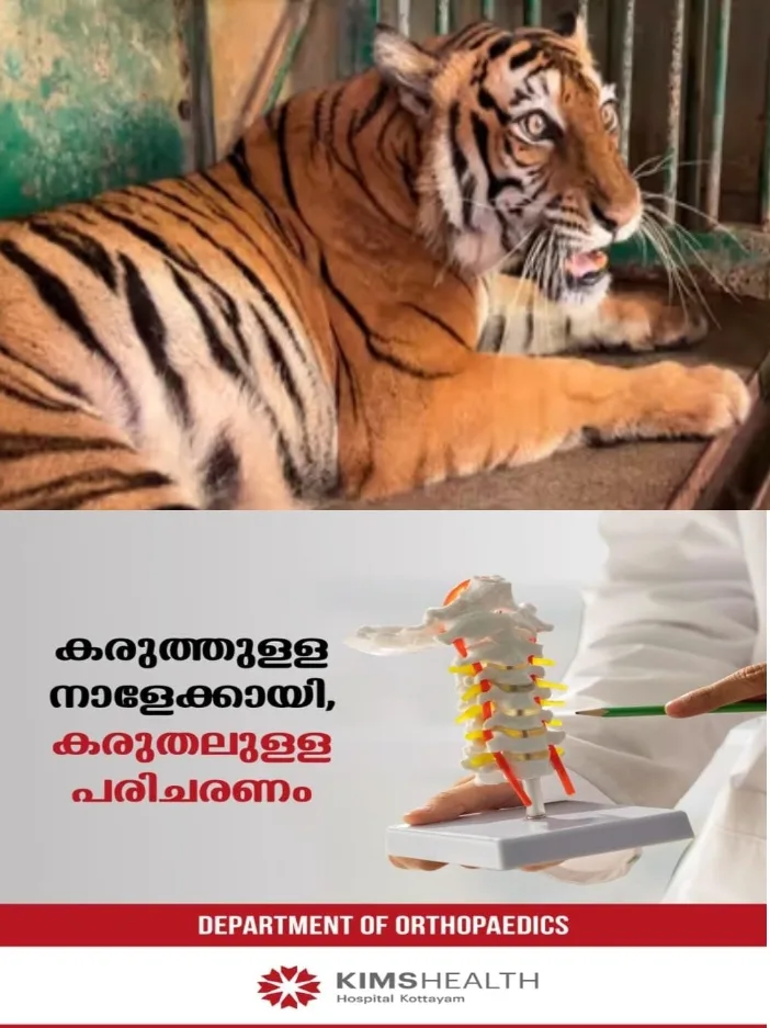 തിരുവനന്തപുരം മൃഗശാലയിലെ പെൺ ബംഗാൾ കടുവ 'ബബിത'യ്ക്ക് ക്യാൻസർ;കീമോതെറാപ്പി ആരംഭിച്ചു