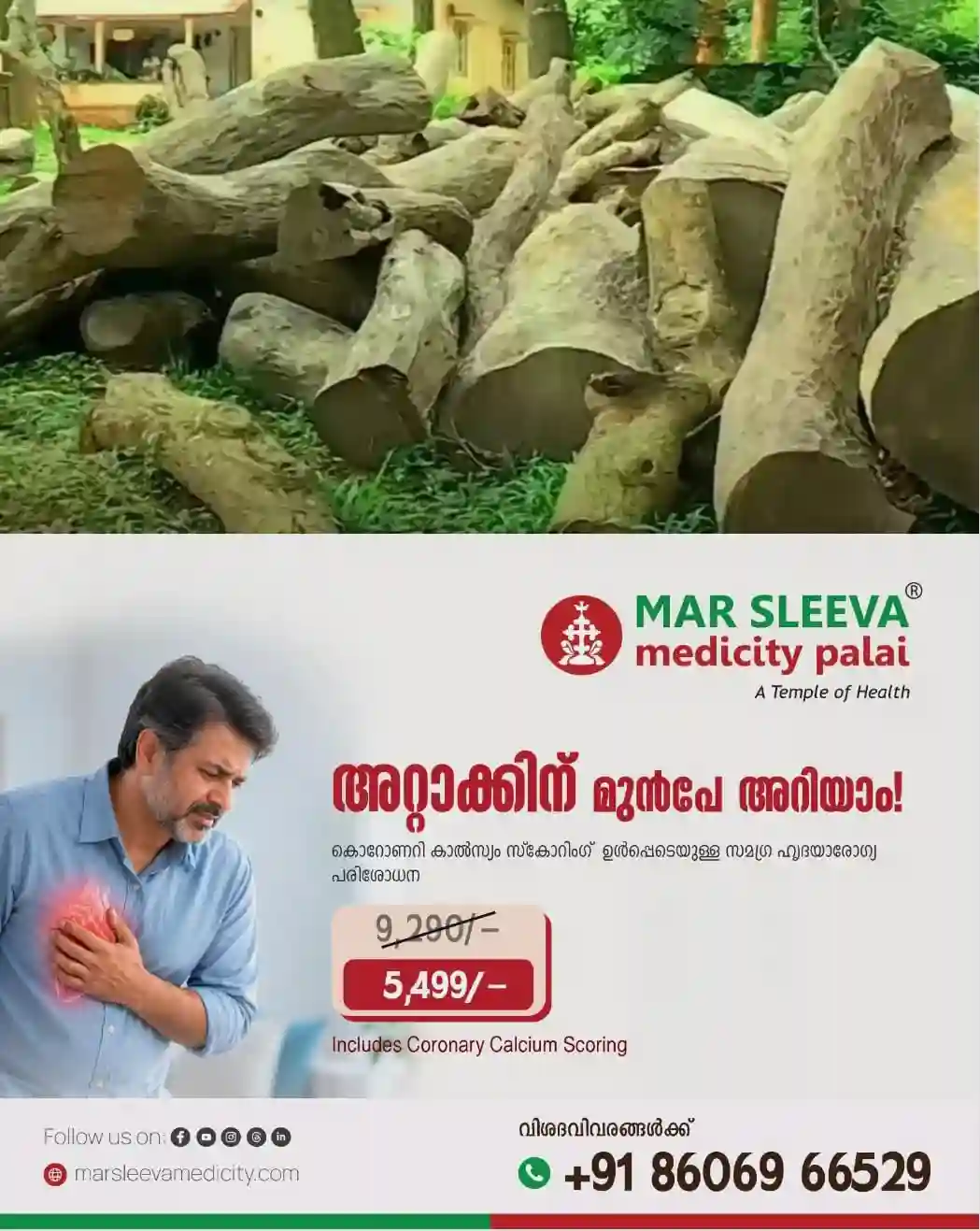 മുട്ടില് മരംമുറിക്കേസ്: കുറ്റപത്രം സുല്ത്താൻ ബത്തേരി മജിസ്ട്രേറ്റ് കോടതി ഇന്ന് പരിഗണിക്കും