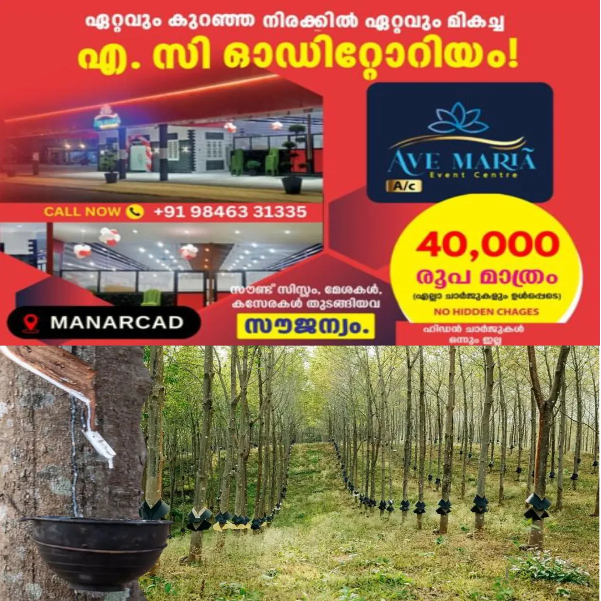 റബർ വില ഉയർന്നിട്ടും കഷകർക്ക് നേട്ടമില്ല: ടാപ്പിംഗിന് ആളെ കിട്ടാനില്ല.