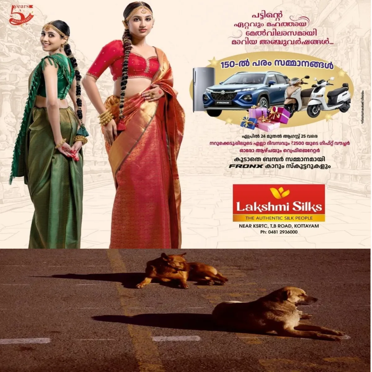 മാനസിക വെല്ലുവിളി നേരിടുന്ന സ്ത്രീയെ ഉപദ്രവിക്കാൻ ശ്രമിച്ചയാളെ തുരത്തി സമൂഹ മാധ്യമങ്ങളിൽ വൈറലായി രണ്ട് തെരുവ് നായ്ക്കൾ: മനുഷ്യനേക്കാൾ വലിയ കരുതൽ മുഗങ്ങൾക്ക് എന്നു തെളിയിക്കുന്ന സംഭവം ഇങ്ങനെ
