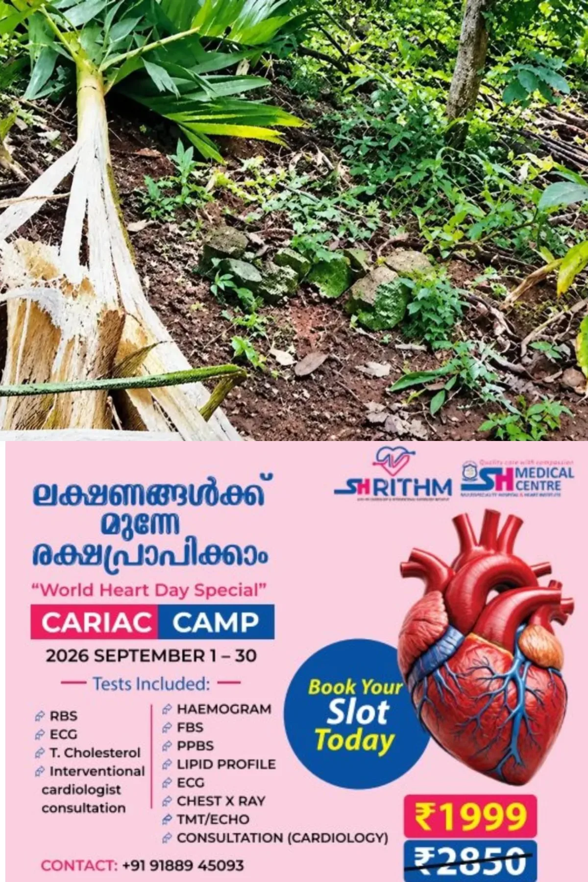 വീണ്ടും കാട്ടാന ആക്രമണം; തിരുവനന്തപുരത്തെ ആദിവാസി മേഖലകളില് കടുത്ത കൃഷിനാശം