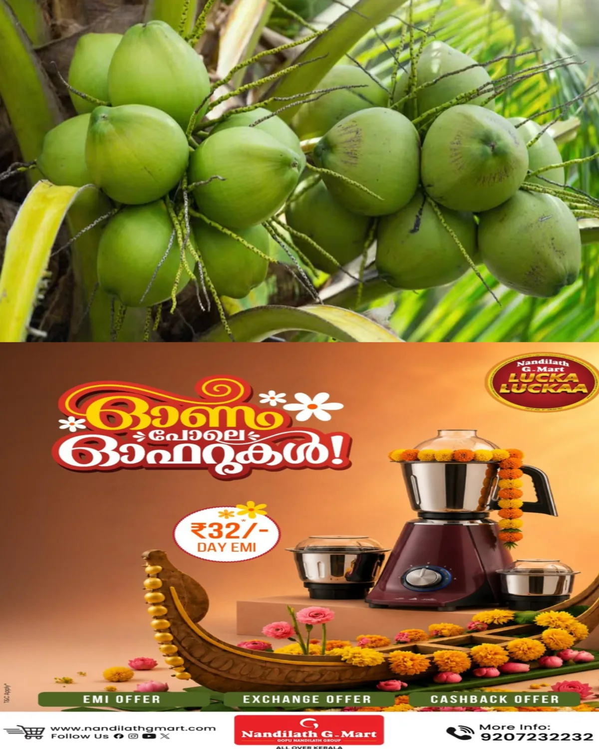 ലോക നാളികേര ദിനം: കൃഷിവകുപ്പിന്റെ ആഭിമുഖ്യത്തിൽ  ജില്ലാതല പരിപാടികൾ സംഘടിപ്പിച്ചു