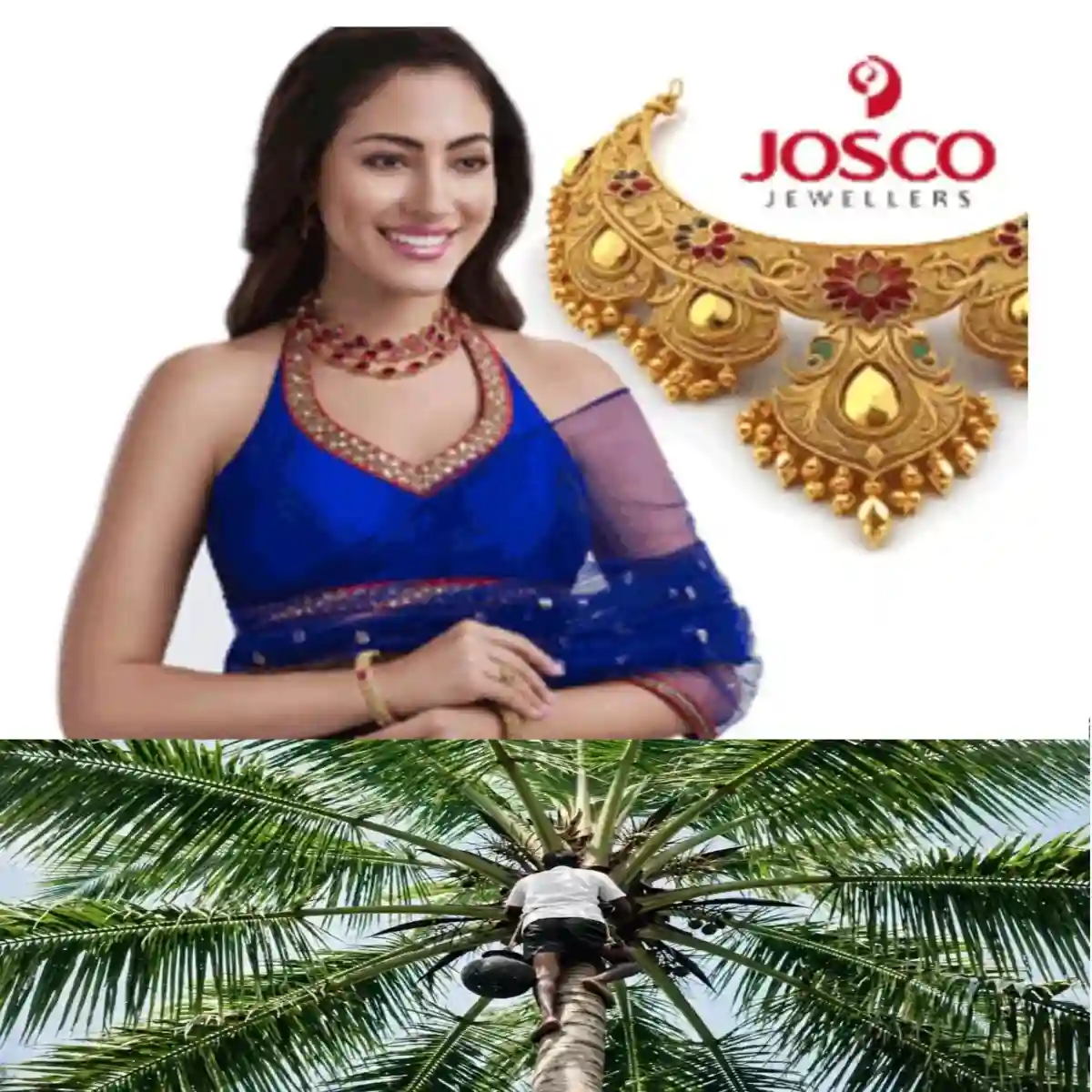കള്ള് ചെത്ത് തൊഴിലാളി ക്ഷാമം പരിഹരിക്കാൻ യുവാക്കൾക്ക് ചെത്ത് പരിശീലനം: 10,000 രൂപ സ്റ്റൈപ്പെൻഡും താമസ സൗകര്യവും ഭക്ഷണവും.