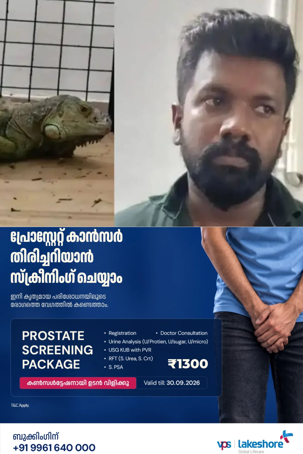 വ്യാജ സര്ട്ടിഫിക്കറ്റ് നല്കി ഗ്രീൻ ഇഗ്വാനയെ വില്ക്കാൻ ശ്രമം; പെറ്റ് ഷോപ്പ് ഉടമ വനംവകുപ്പിന്റെ പിടിയില്