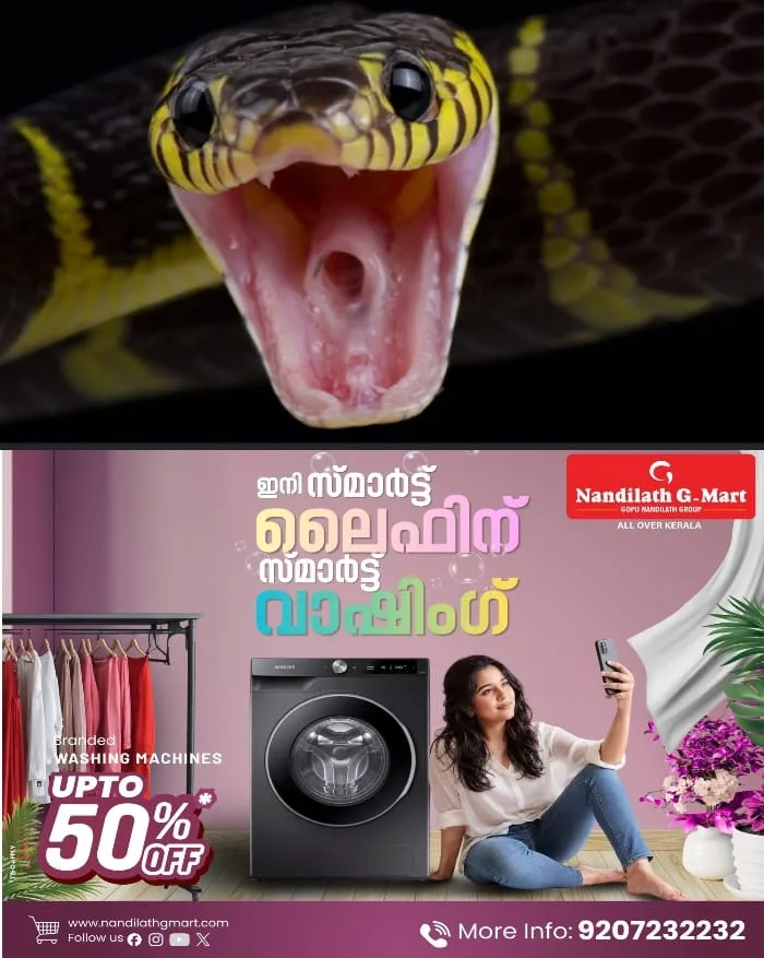 കോട്ടയത്ത് തോട്ടം ജോലി ചെയ്യുന്നതിനിടെ പാമ്പുകടിയേറ്റ് തൊഴിലാളി മരിച്ചു
